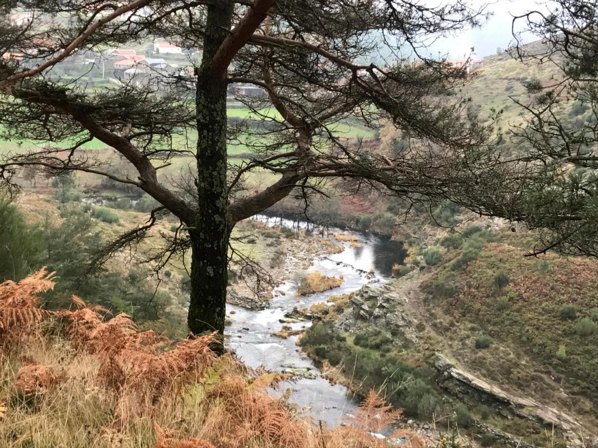 Refugio Dos Macedos Bilho